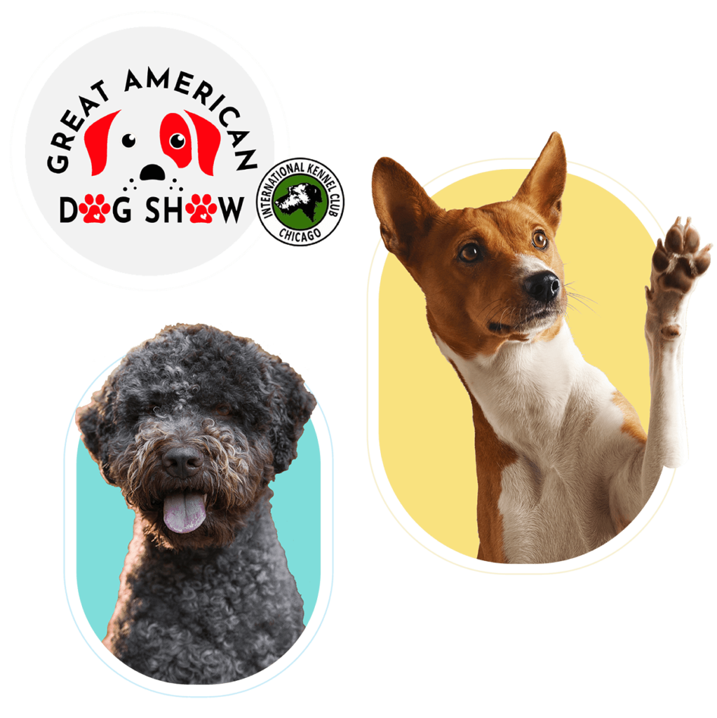 Great American Dog Show