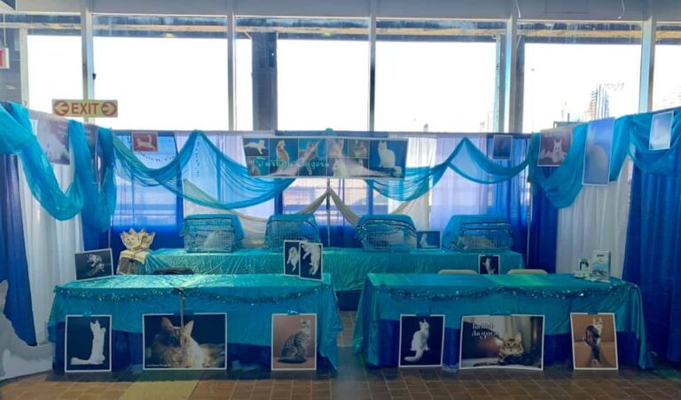Breed Booth 2019