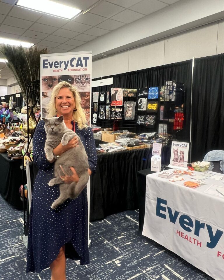 EveryCat Health Foundation Jacki Jacakko
