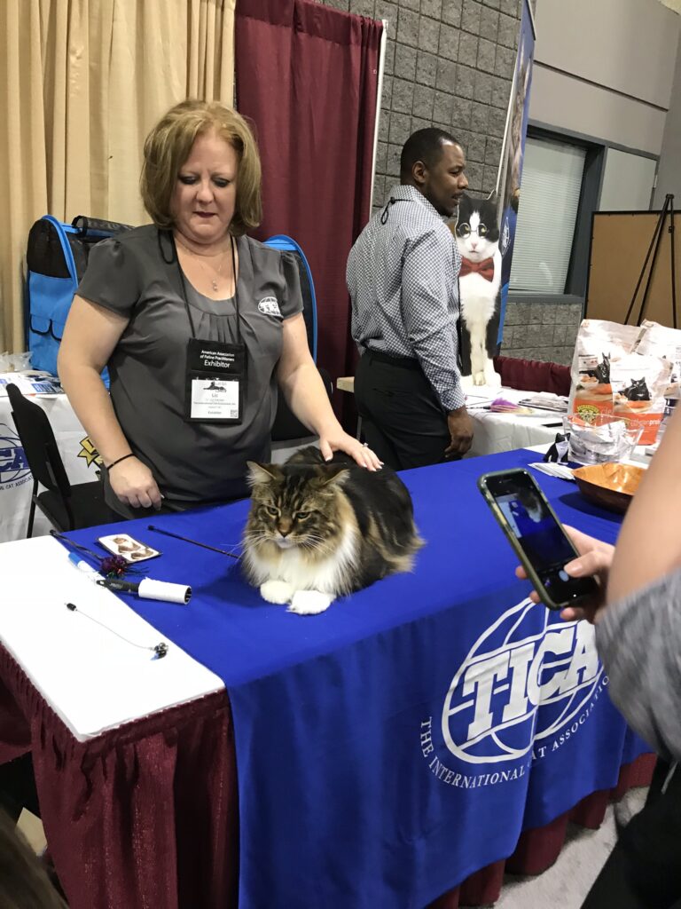 MaineCoon booth visitors